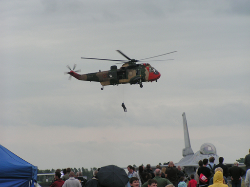 Sea King Demo SAR